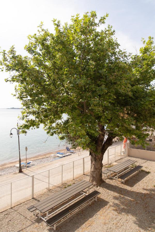 Loggos Apartments Longos  Dış mekan fotoğraf